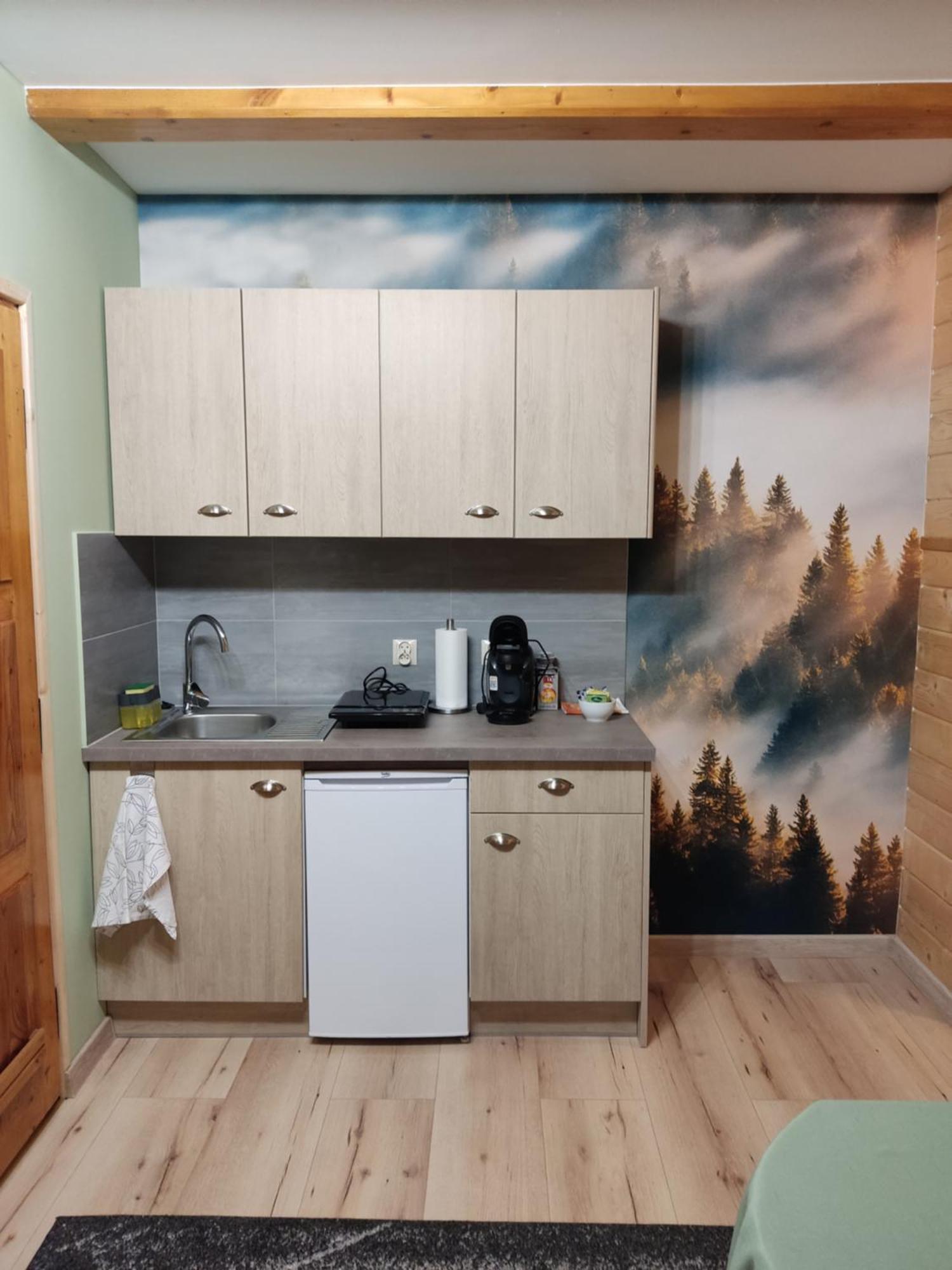 Apartamenty U Drwala Zakopane Exterior photo